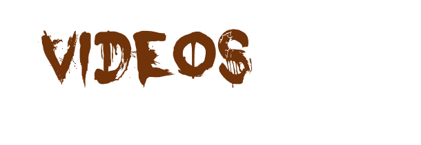 Vidos